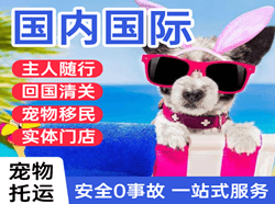 泸州云龙机场空运国际宠物托运 【国